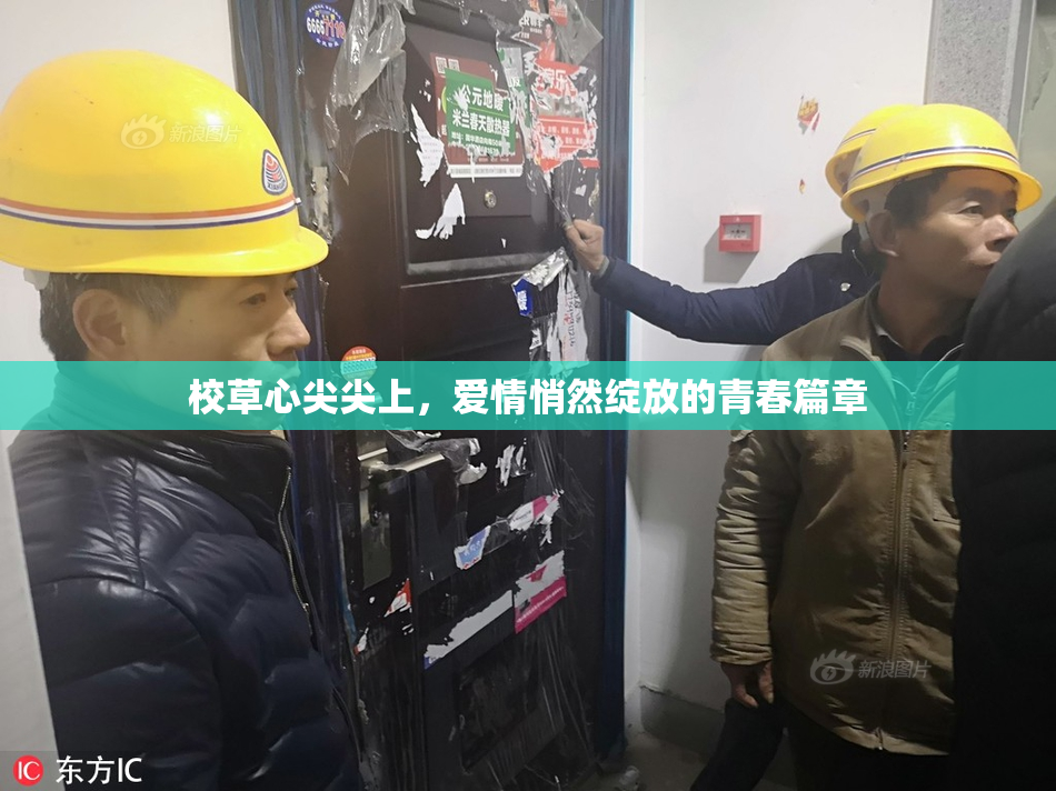 校草心尖尖上，爱情悄然绽放的青春篇章