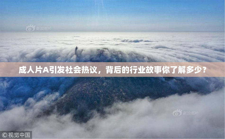 成人片A引发社会热议，背后的行业故事你了解多少？