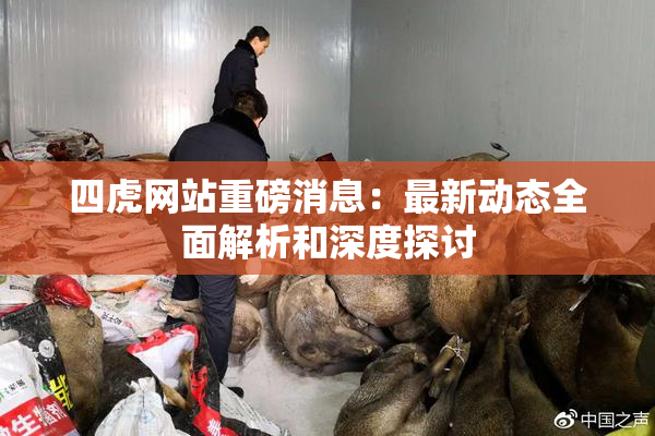 四虎网站重磅消息：最新动态全面解析和深度探讨
