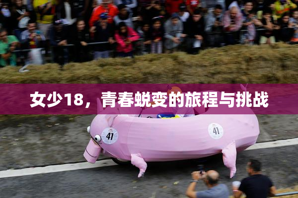 女少18，青春蜕变的旅程与挑战