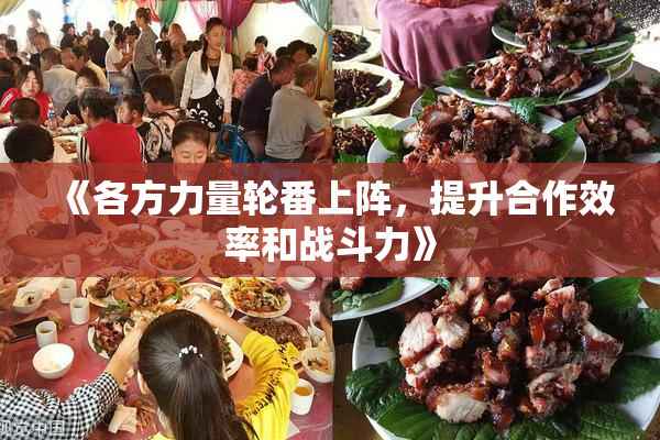 《各方力量轮番上阵，提升合作效率和战斗力》