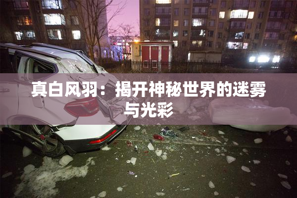真白风羽：揭开神秘世界的迷雾与光彩