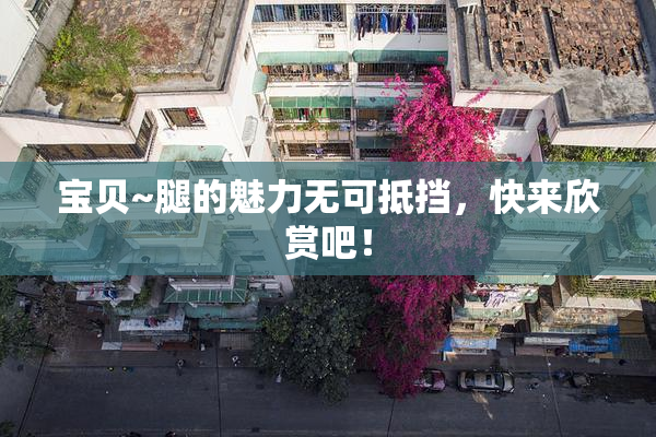 宝贝~腿的魅力无可抵挡，快来欣赏吧！