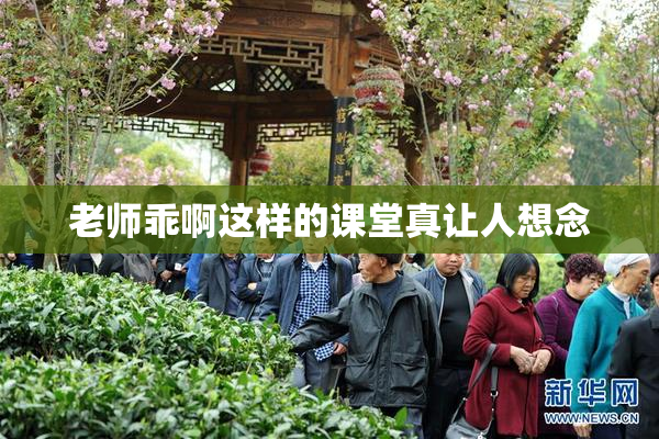 老师乖啊这样的课堂真让人想念
