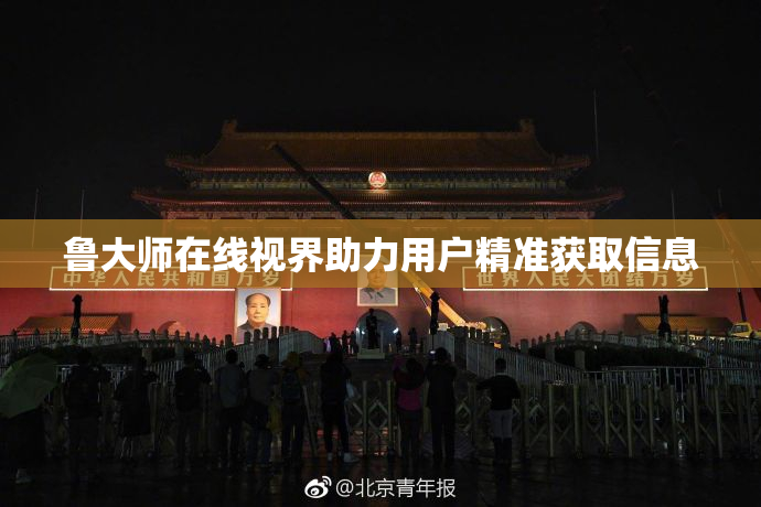 鲁大师在线视界助力用户精准获取信息