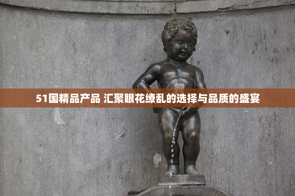 51国精品产品 汇聚眼花缭乱的选择与品质的盛宴