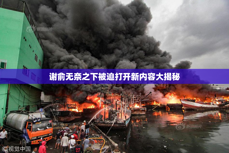 谢俞无奈之下被迫打开新内容大揭秘