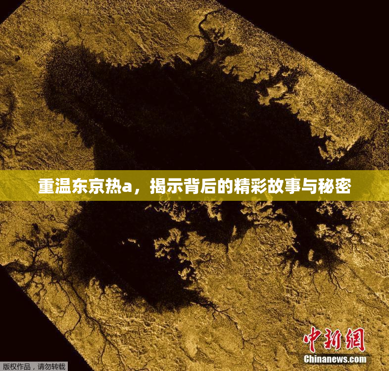 重温东京热a，揭示背后的精彩故事与秘密