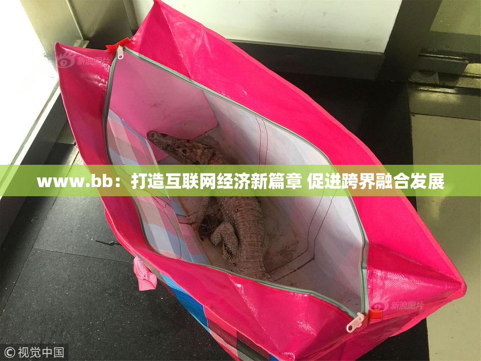 www.bb：打造互联网经济新篇章 促进跨界融合发展