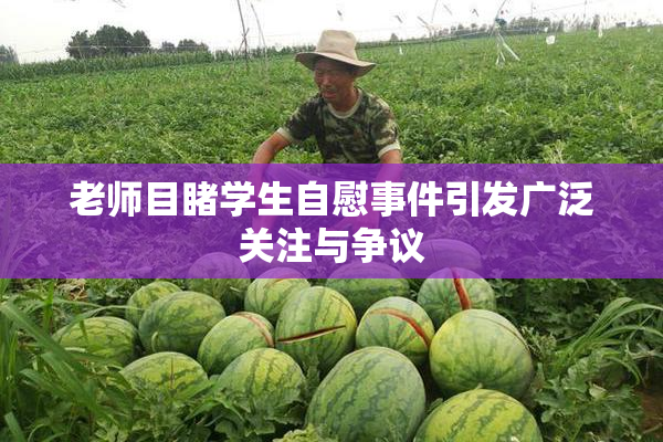老师目睹学生自慰事件引发广泛关注与争议