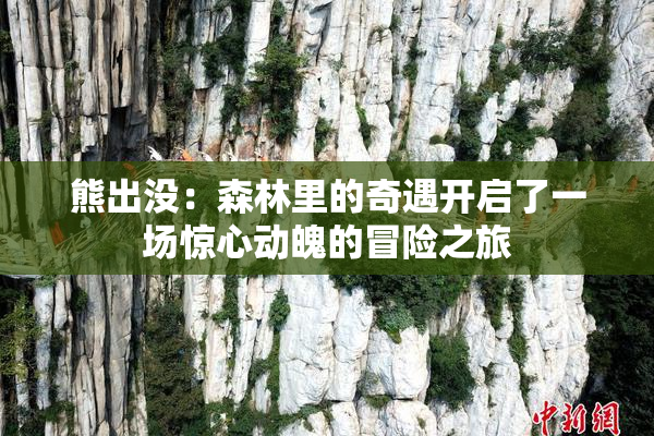 熊出没：森林里的奇遇开启了一场惊心动魄的冒险之旅