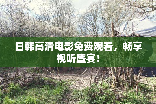 日韩高清电影免费观看，畅享视听盛宴！