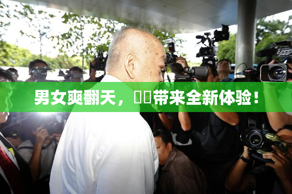 男女爽翻天，❌‌带来全新体验！