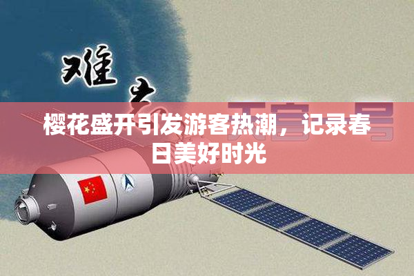樱花盛开引发游客热潮，记录春日美好时光