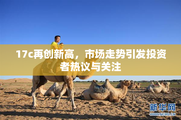 17c再创新高，市场走势引发投资者热议与关注