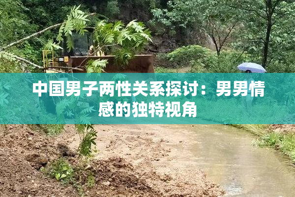 中国男子两性关系探讨：男男情感的独特视角
