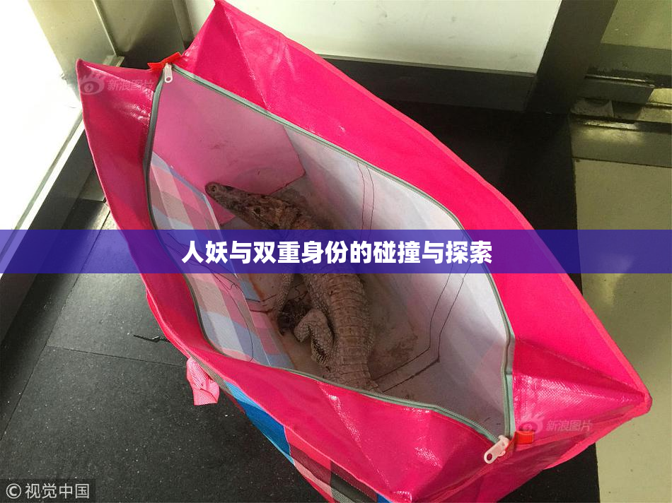 人妖与双重身份的碰撞与探索