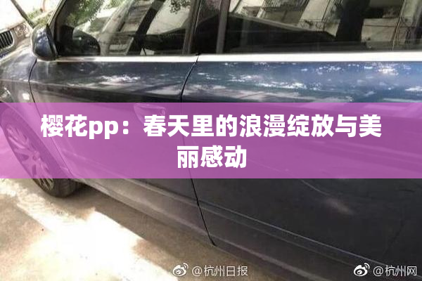 樱花pp：春天里的浪漫绽放与美丽感动