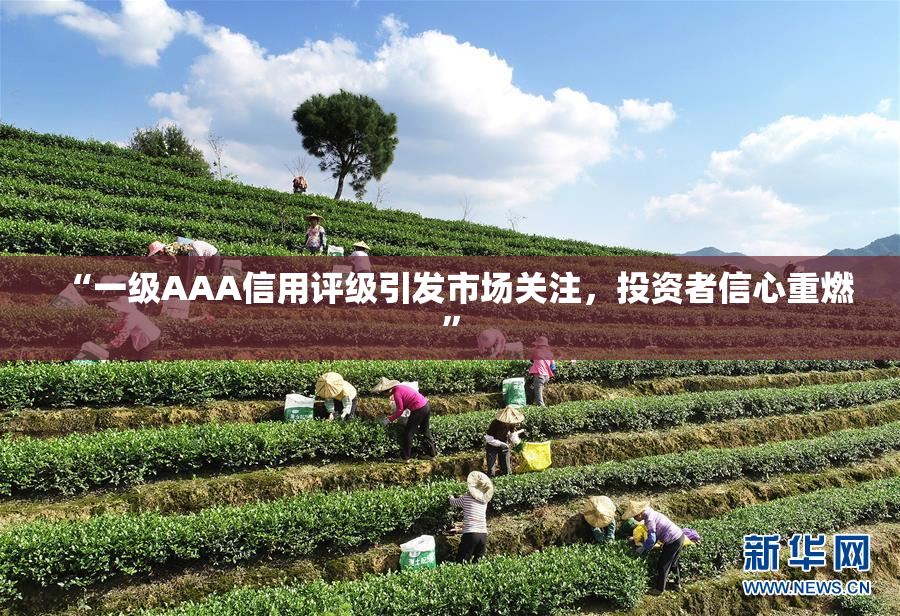 “一级AAA信用评级引发市场关注，投资者信心重燃”