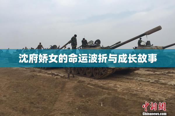 沈府娇女的命运波折与成长故事