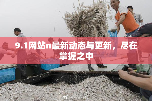 9.1网站n最新动态与更新，尽在掌握之中