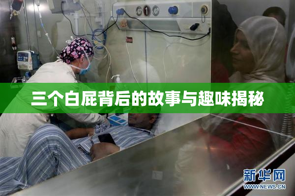 三个白屁背后的故事与趣味揭秘