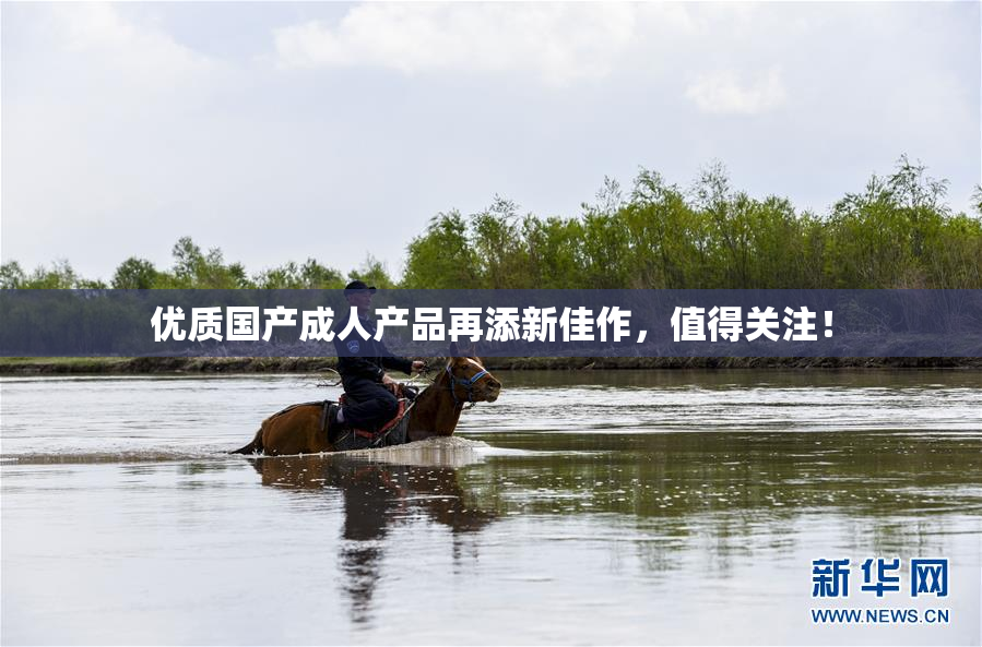 优质国产成人产品再添新佳作，值得关注！