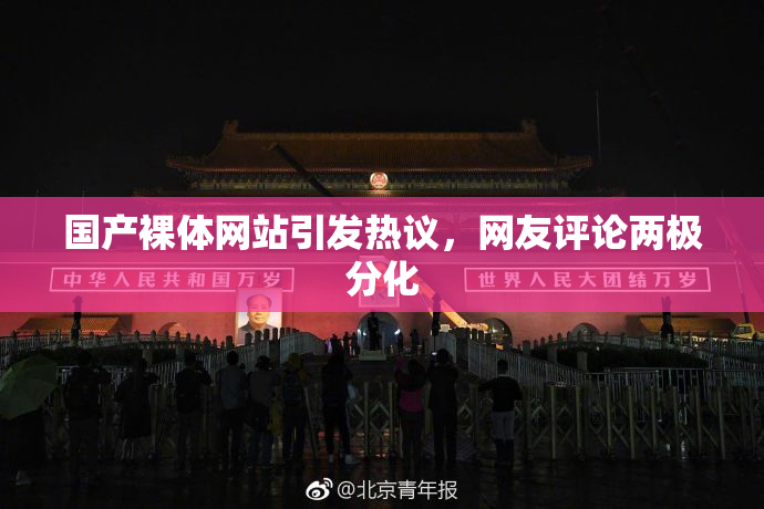 国产裸体网站引发热议，网友评论两极分化