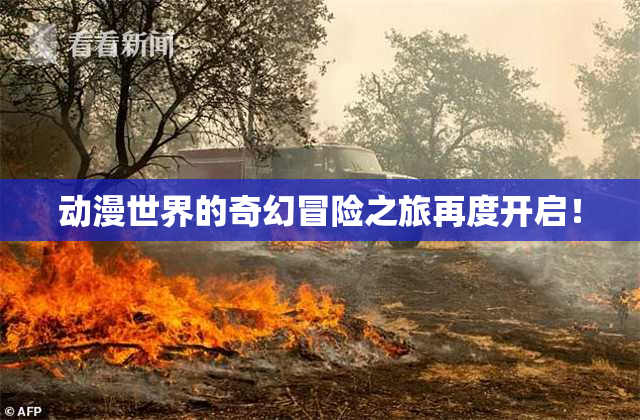 动漫世界的奇幻冒险之旅再度开启！