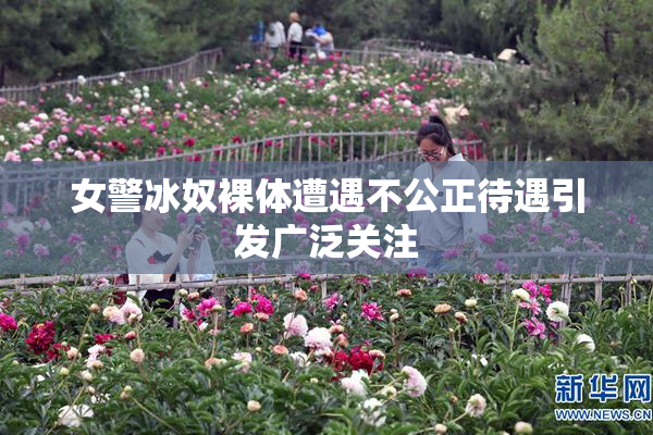 女警冰奴裸体遭遇不公正待遇引发广泛关注