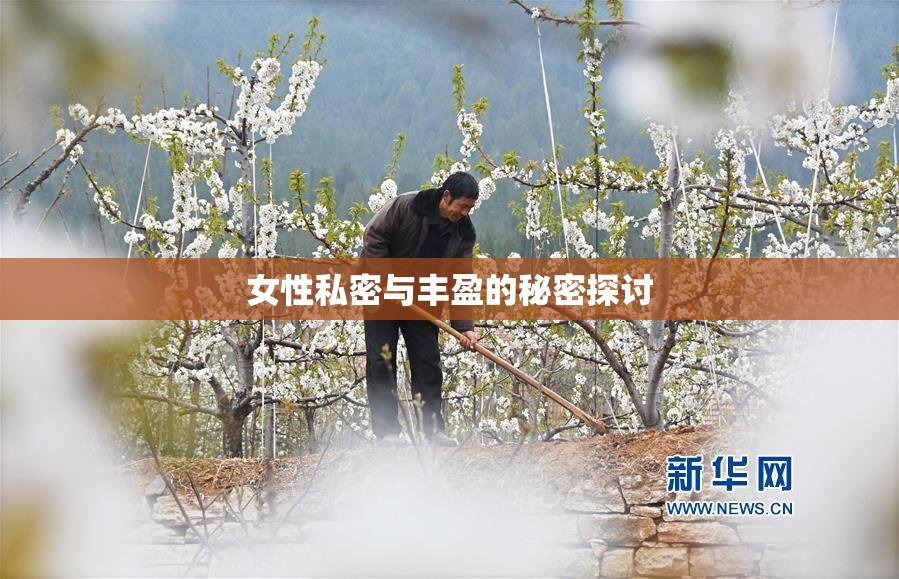 女性私密与丰盈的秘密探讨