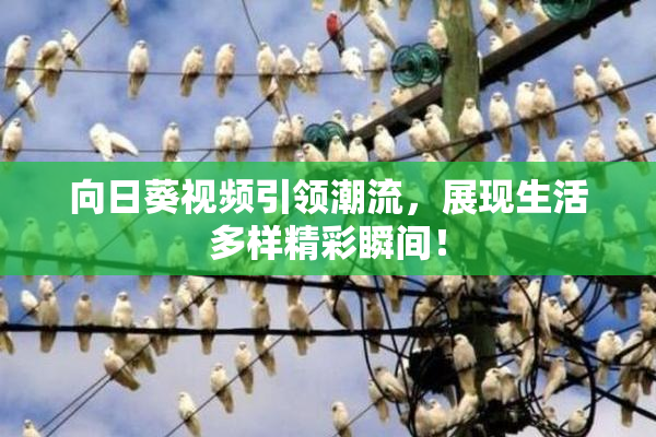 向日葵视频引领潮流，展现生活多样精彩瞬间！