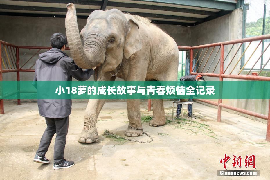 小18萝的成长故事与青春烦恼全记录
