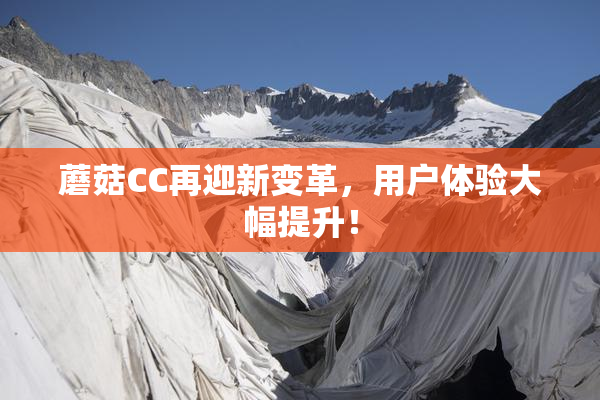 蘑菇CC再迎新变革，用户体验大幅提升！