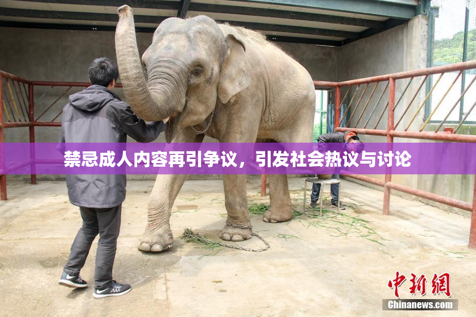 禁忌成人内容再引争议，引发社会热议与讨论