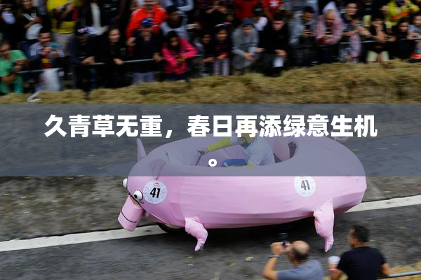 久青草无重，春日再添绿意生机。