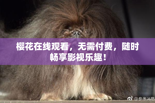 樱花在线观看，无需付费，随时畅享影视乐趣！
