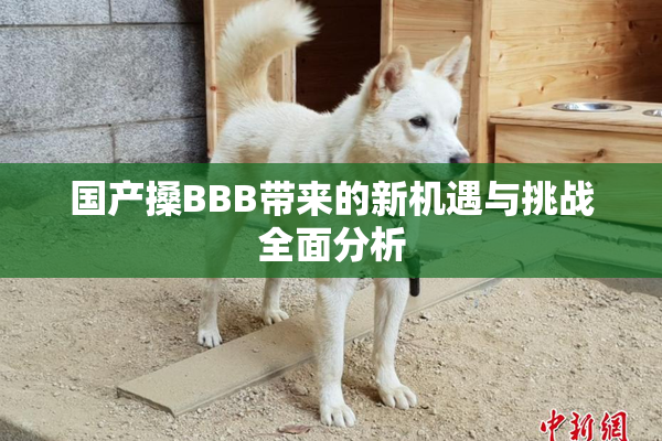 国产搡BBB带来的新机遇与挑战全面分析