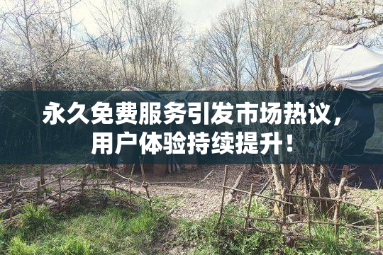 永久免费服务引发市场热议，用户体验持续提升！
