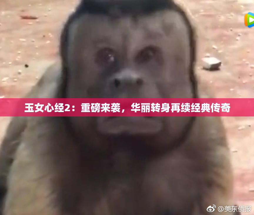 玉女心经2：重磅来袭，华丽转身再续经典传奇