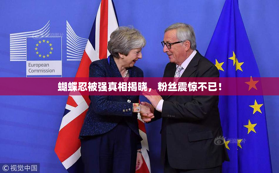 蝴蝶忍被强真相揭晓，粉丝震惊不已！