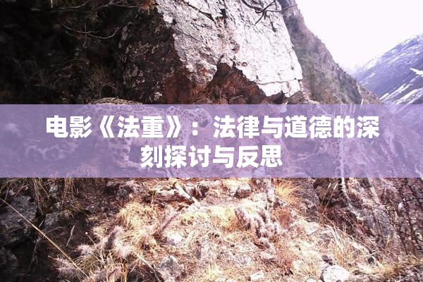 电影《法重》：法律与道德的深刻探讨与反思