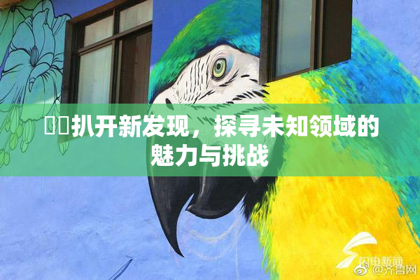 妺妺扒开新发现，探寻未知领域的魅力与挑战