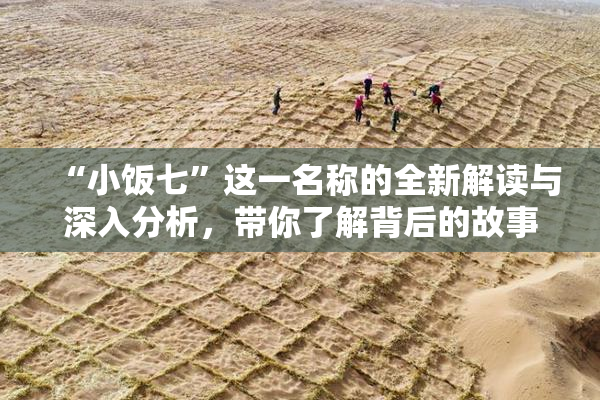 “小饭七”这一名称的全新解读与深入分析，带你了解背后的故事与文化。