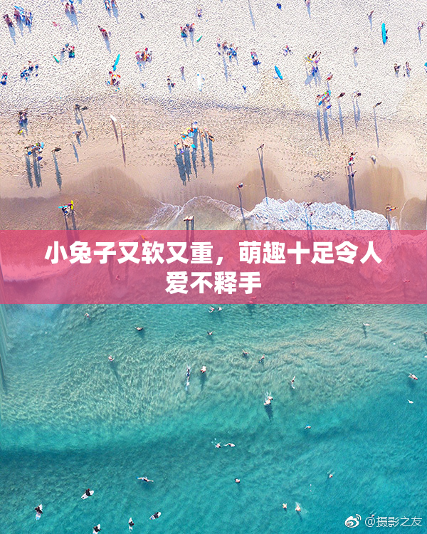 小兔子又软又重，萌趣十足令人爱不释手