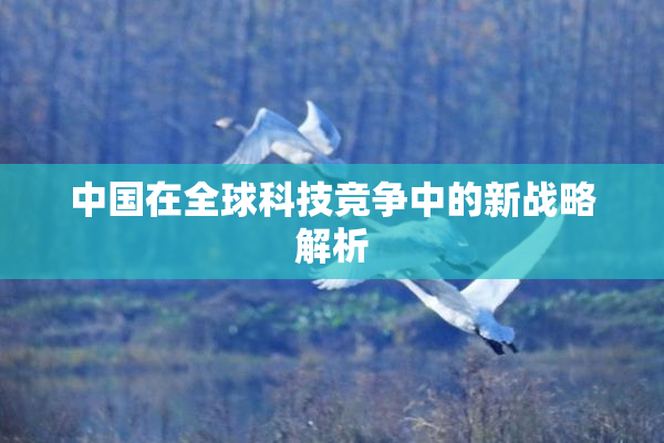 中国在全球科技竞争中的新战略解析