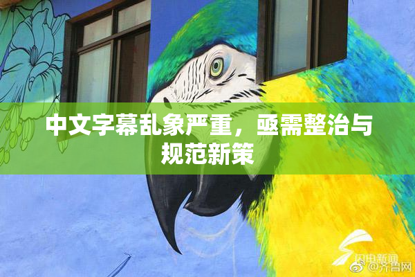 中文字幕乱象严重，亟需整治与规范新策