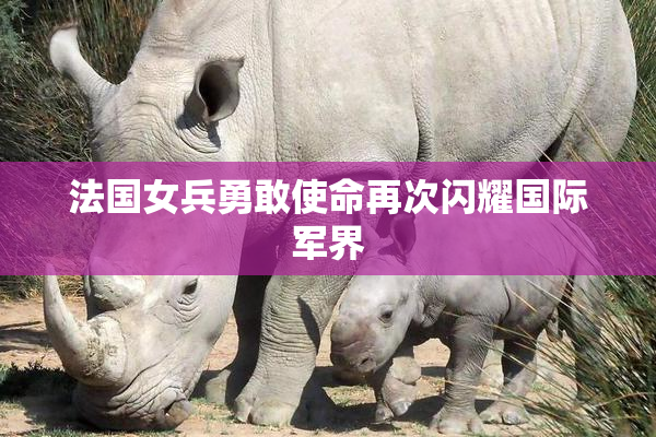 法国女兵勇敢使命再次闪耀国际军界