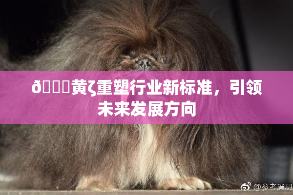 🔞黄ζ重塑行业新标准，引领未来发展方向