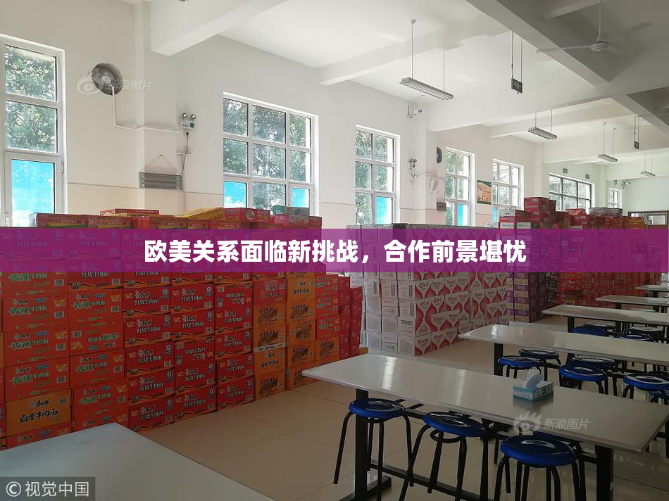 欧美关系面临新挑战，合作前景堪忧